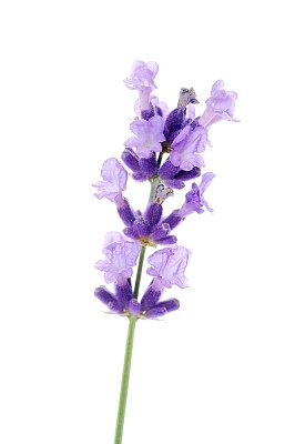 医师带你全面认识白癜风